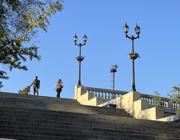 Coniferal Parque Sarmiento