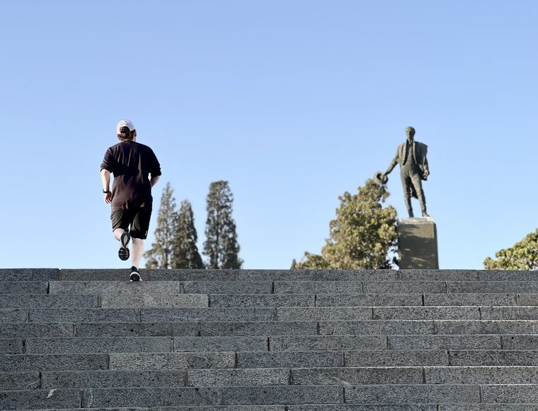 Coniferal Parque Sarmiento
