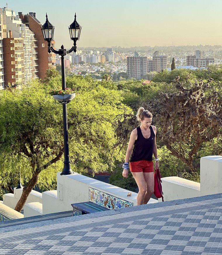 Coniferal Parque Sarmiento