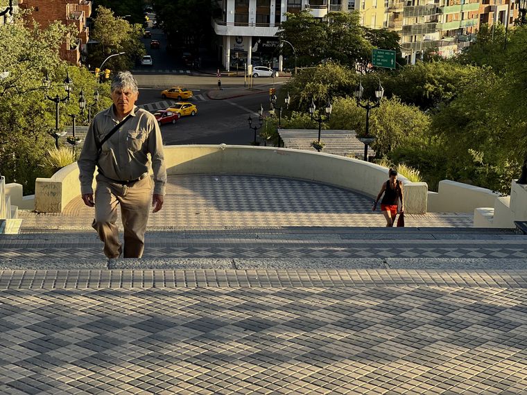 Coniferal Parque Sarmiento