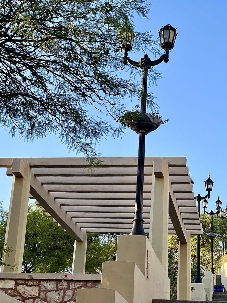 Coniferal Parque Sarmiento