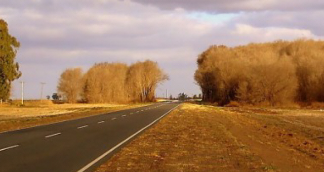 Las rutas, a veces, pasan por montes nativos.