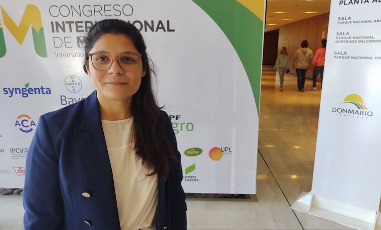 Marco legal superador. La funcionaria santafesina enfatizó la importancia de una ley.