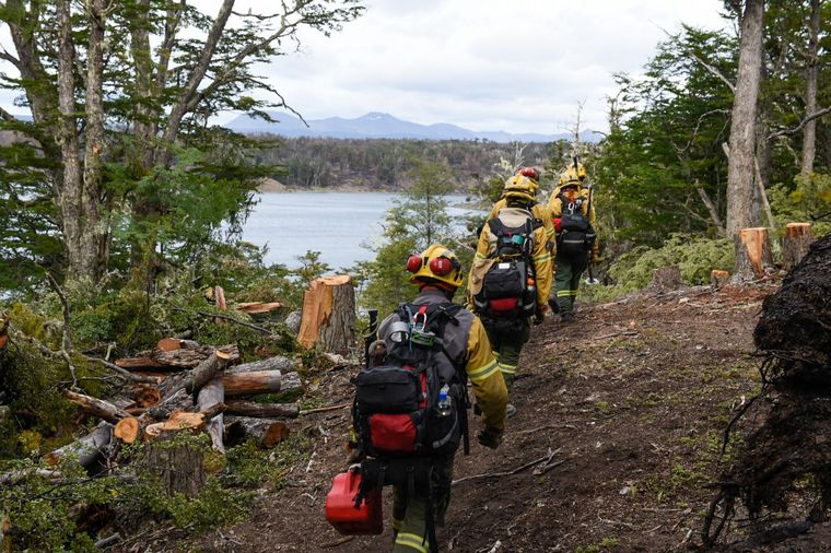 FOTO: Contuvieron el incendio de Tierra del Fuego, pero siguen los trabajos.