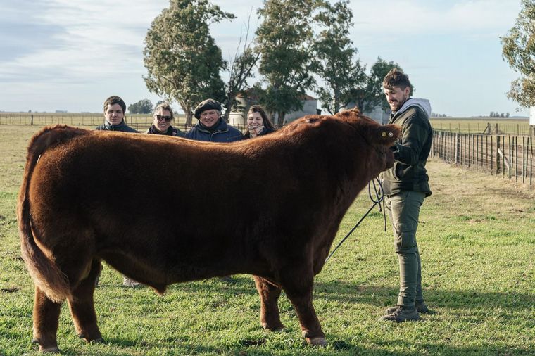 "No tiene defectos". Fenotípicamente y con el respaldo de los números.  