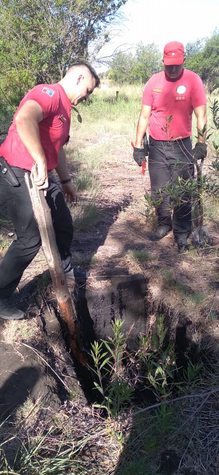 Desesperada búsqueda Anahí Bulnes