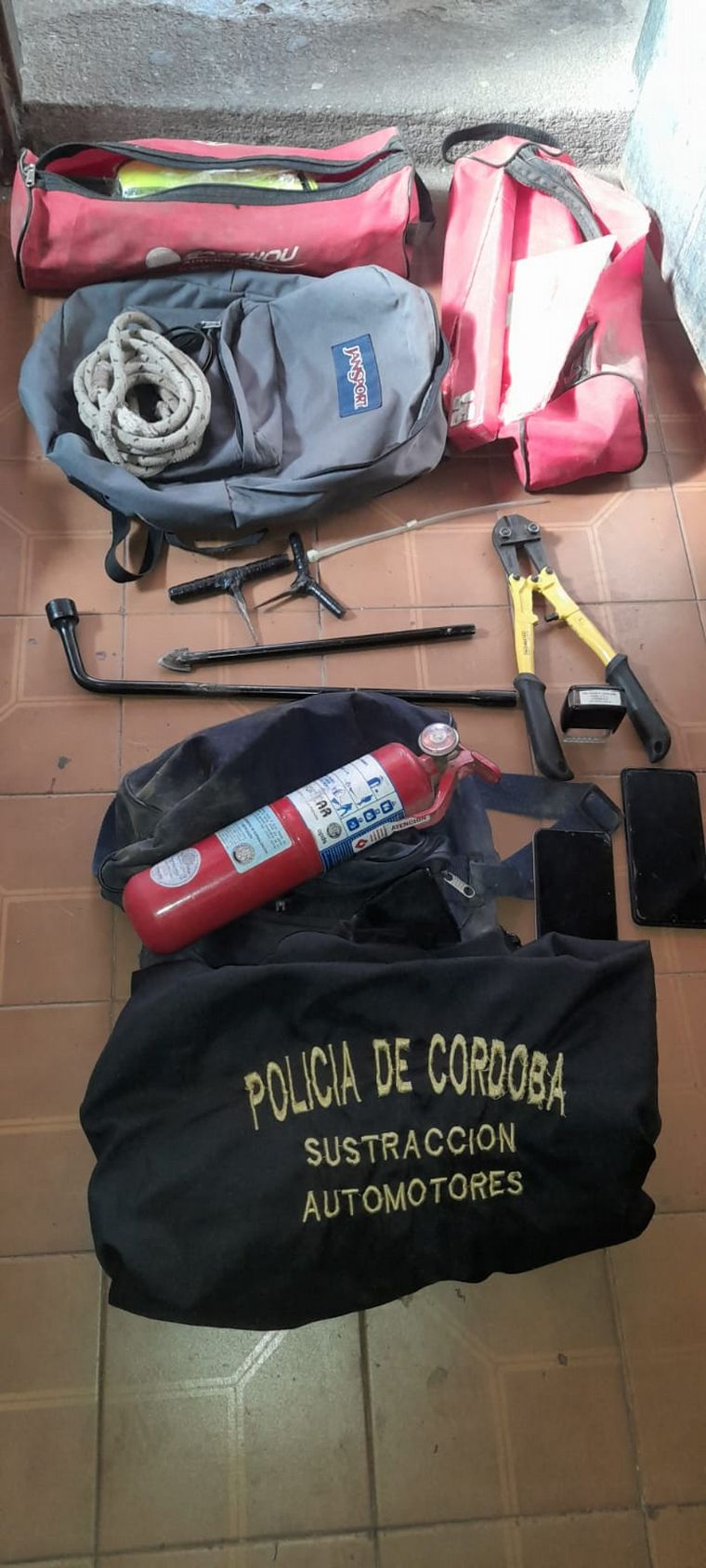 FOTO: Desbaratan banda que robaba autos en Córdoba: hay policías acusados y uno preso