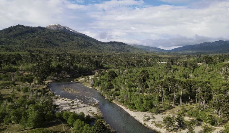 FOTO: Moquehue varios