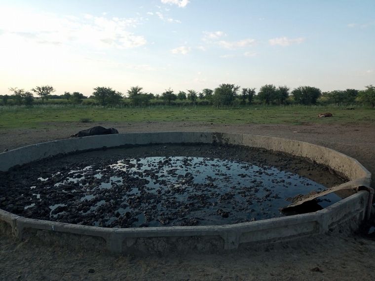FOTO: Lodazal. Los pozos y aguadas ya no tienen agua bebible.