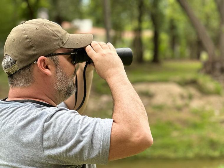 Avistaje de aves en Villa General Belgrano