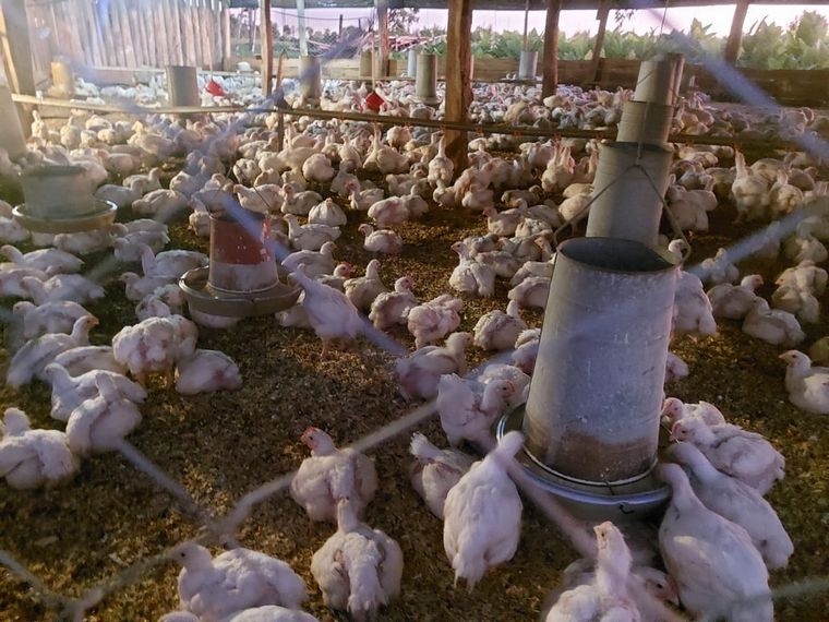 Camping Agroecológico Amigos del Norte 