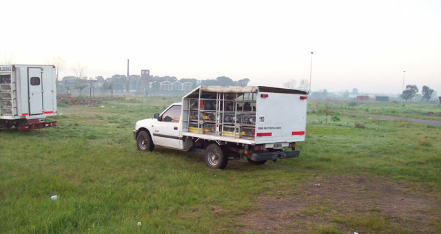 En la competencia, participan cinco palomares de la provincia de Córdoba