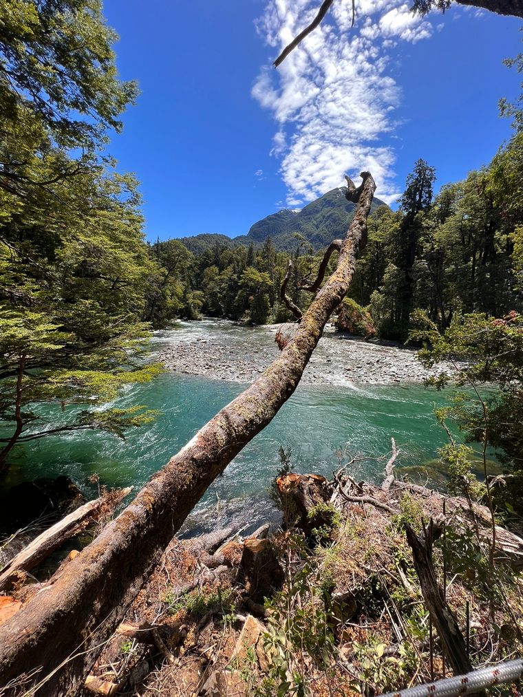 Parque Nacional Los Alerces.