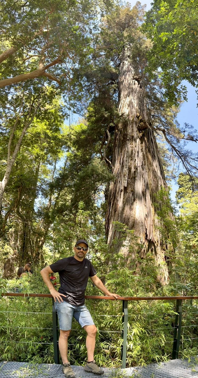 Parque Nacional Los Alerces.