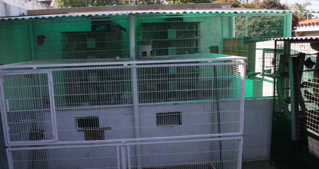 Palomar MAR-TRO de Sergio Martínez y Raúl Trossero