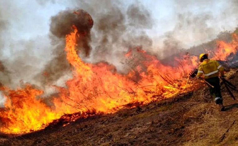 FOTO: Incendios en las islas, una postal repetida en Rosario.