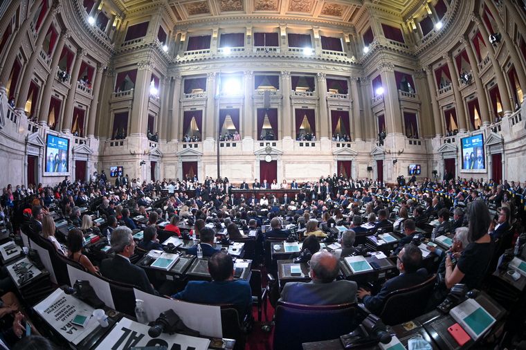 FOTO: La Cámara de Diputados de la Nación Argentina.