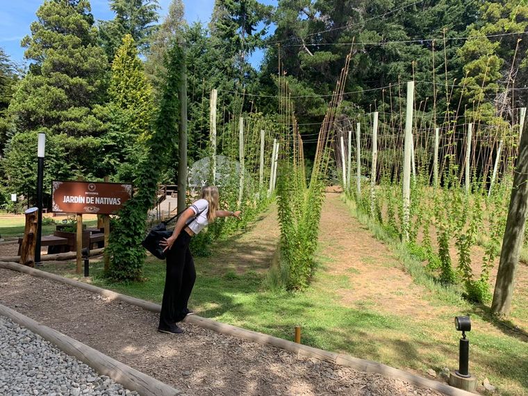 Una visita a la fábrica de cerveza Patagonia en Bariloche.