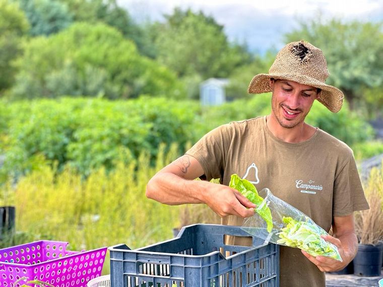 AUDIO: Una huerta agroecológica para conocer y comprar verdes frescos en Nono