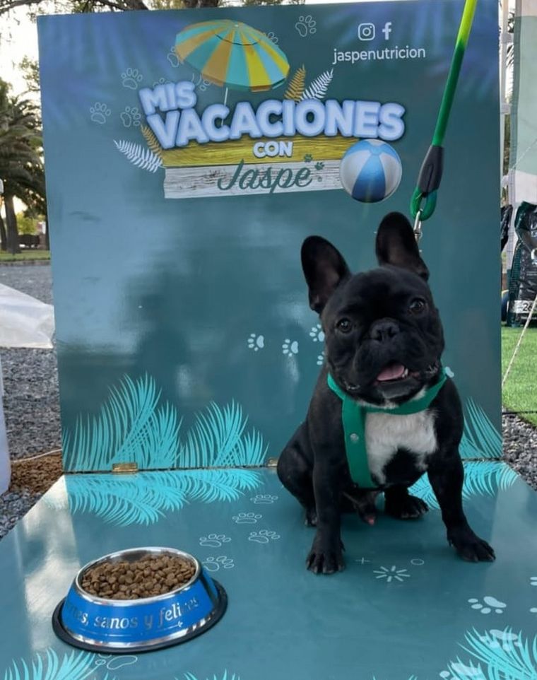 Mis vacaciones con Jaspe