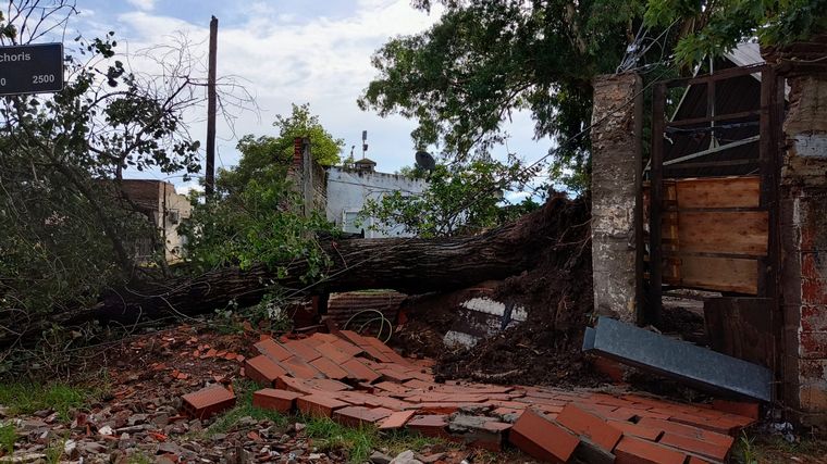 AUDIO: Dos árboles destrozaron el tapial perimetral del club barria Sarratea.
