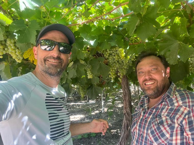 Cooperativa La Riojana