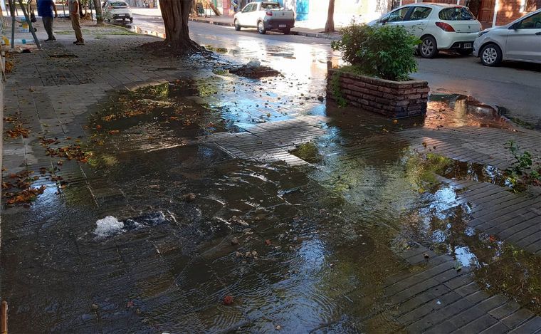 VIDEO: Rosario: persiste el robo de medidores: derroche de agua y problemas para vecinos.