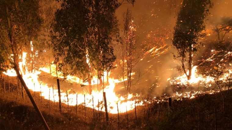 FOTO: Ya son trece las víctimas fatales por los incendios forestales en Chile.