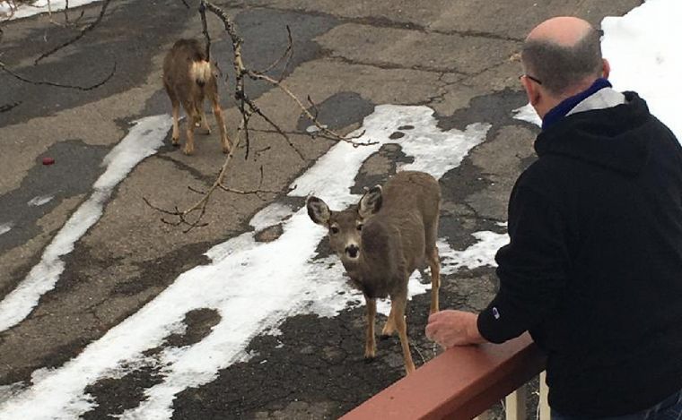 Juan y Mercedes viven en Estados Unidos desde hace 40 años.