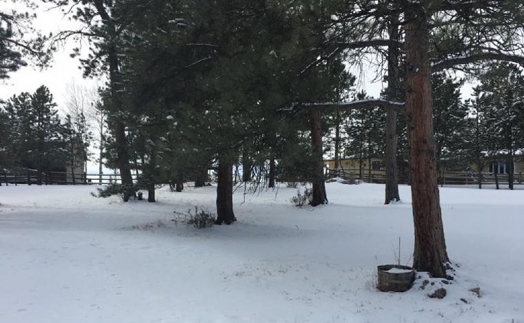 Juan y Mercedes viven en Estados Unidos desde hace 40 años.