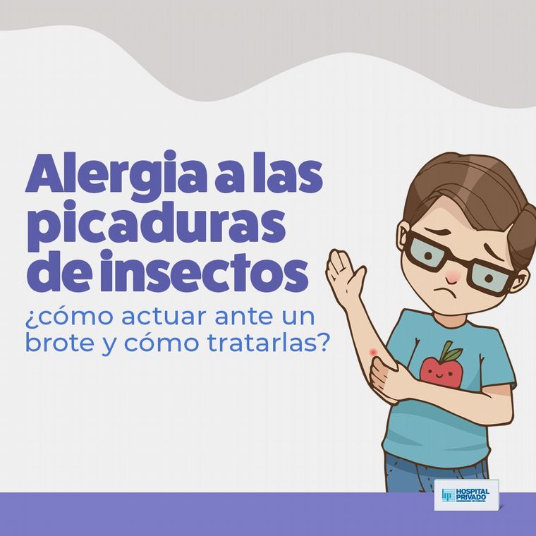 FOTO: Alergia a las picaduras de insectos: ¿cómo actuar ante un brote y cómo tratarlas