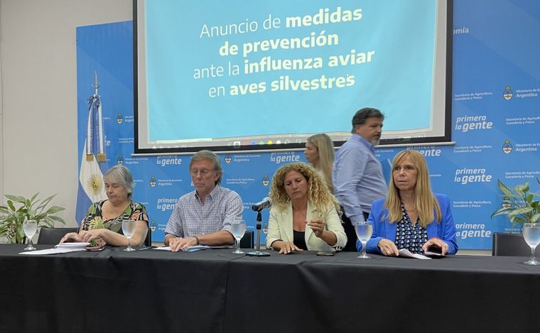FOTO: Argentina declaró la emergencia sanitaria por la detección de gripe aviar.