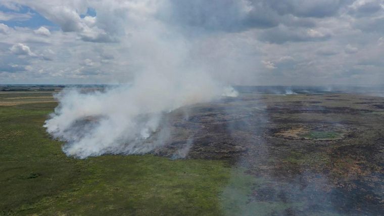 FOTO: Continúan los incendios en Corrientes, Entre Ríos y Chubut (Foto: Telam)