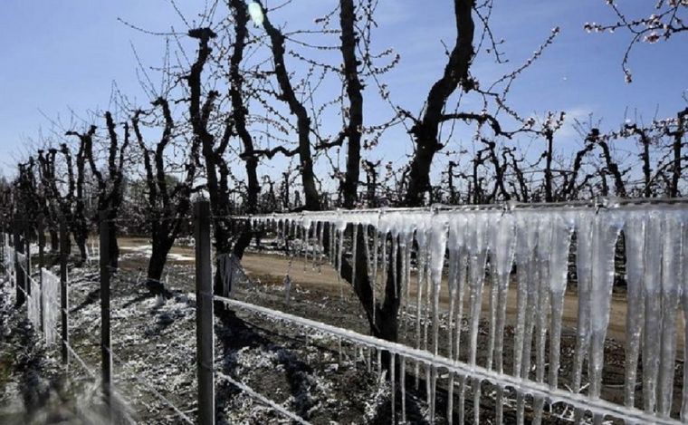 gentileza Unidiversidad.