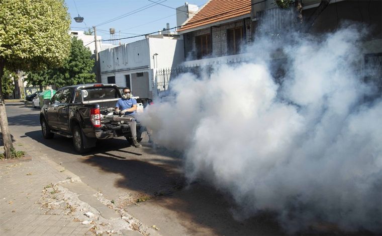 FOTO: Confirmaron dos casos de dengue autóctono en Rosario.