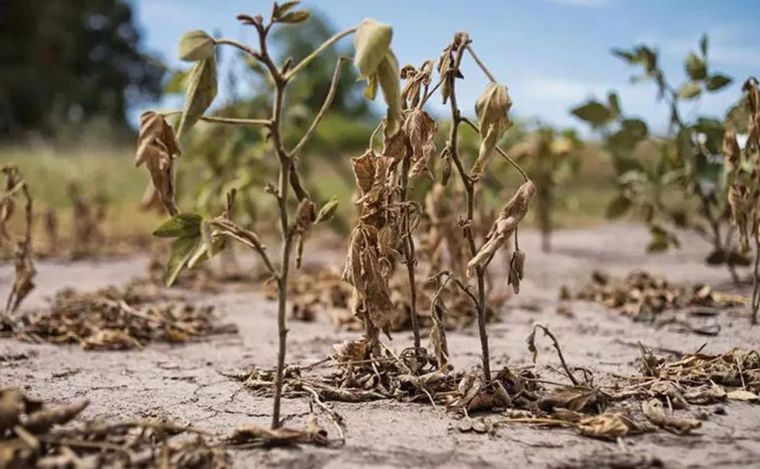 La emergencia agropecuaria en el marco de la sequía que se produce en Santa Fe.