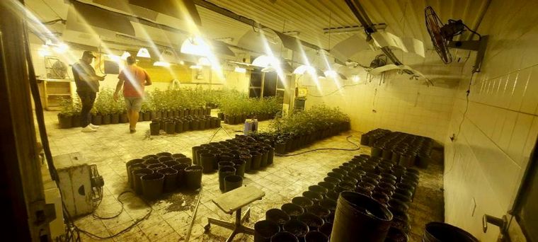 Córdoba, entre los tentáculos de una poderosa organización narco