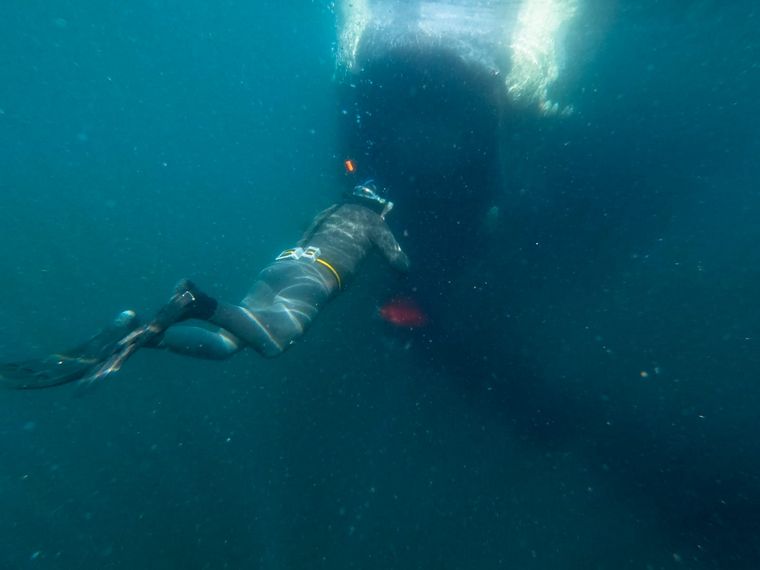 Ricardo Daniel “Pinino” Orri, el hombre del mar