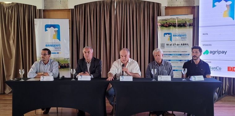 Hay equipo. El mundial tiene el apoyo de Expoagro.