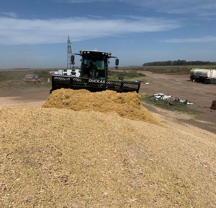 Poco para picar. Mucha logística, poca producción.