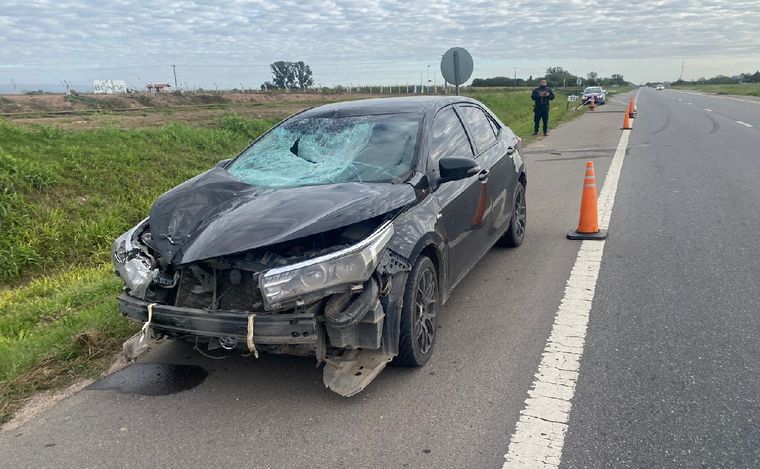 Intentó cruzar la ruta y murió embestido por un auto. (Emanuel Manitta/Cadena 3).