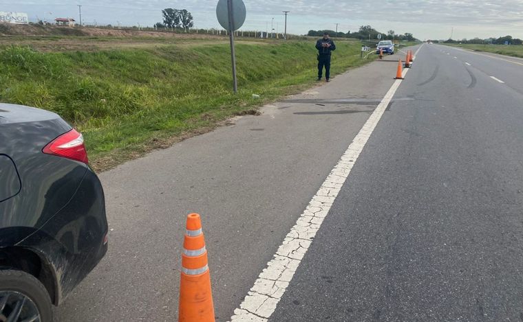 Intentó cruzar la ruta y murió embestido por un auto. (Emanuel Manitta/Cadena 3).