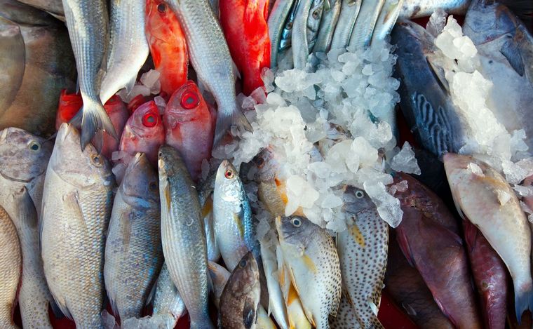 FOTO: Recomendaciones para el consumo responsable de pescados en Semana Santa.