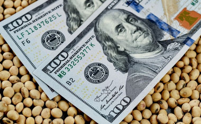 FOTO: ¿Nace un nuevo dólar "soja" y dólar "maíz"? (Foto: archivo)