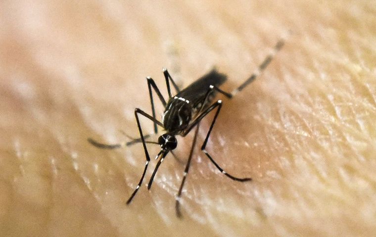 FOTO: Dos hombres fallecieron por dengue en CABA y el país llega al récord 35 muertos.