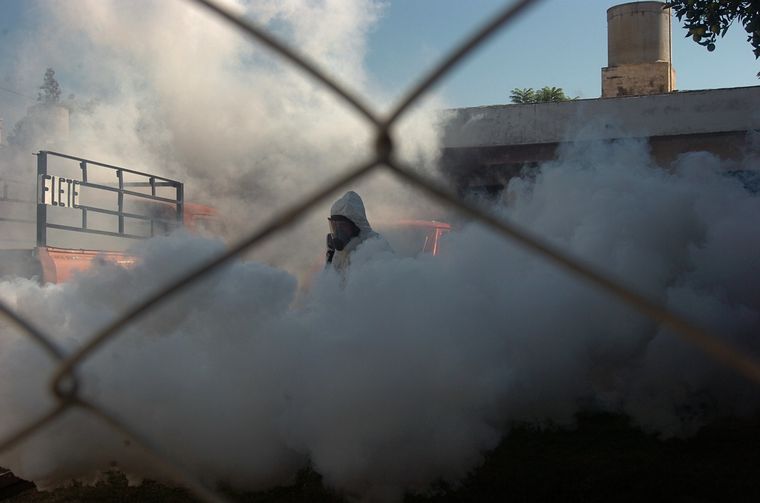 FOTO: dengue fumigan fumigacion cordoba insectos fumiga