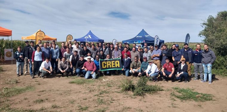 Jornada de picado de maíz