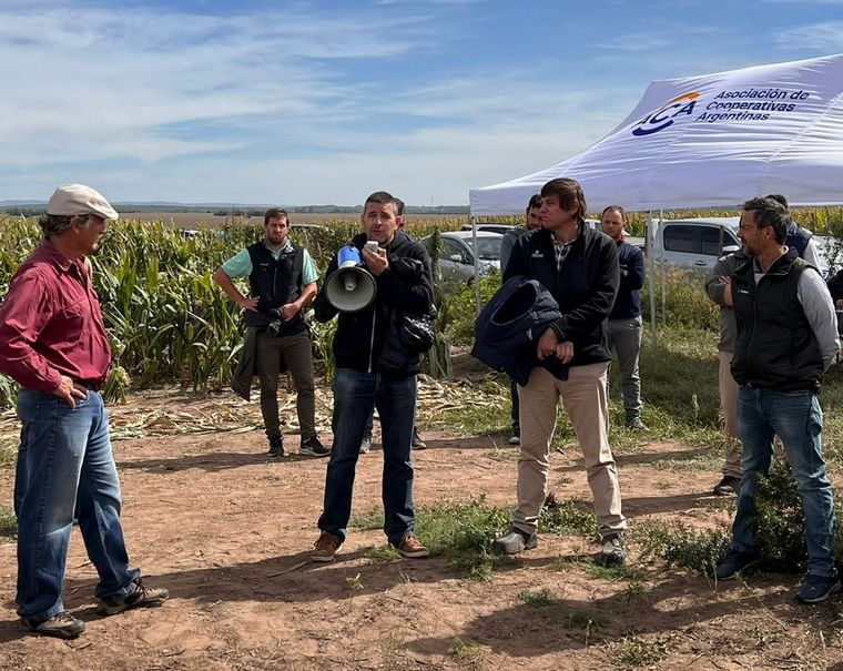 Jornada de picado de maíz