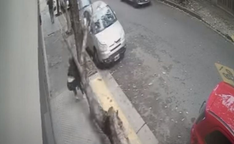 FOTO: Increíble accidente en el centro de Rosario protagonizado por un árbol seco. 