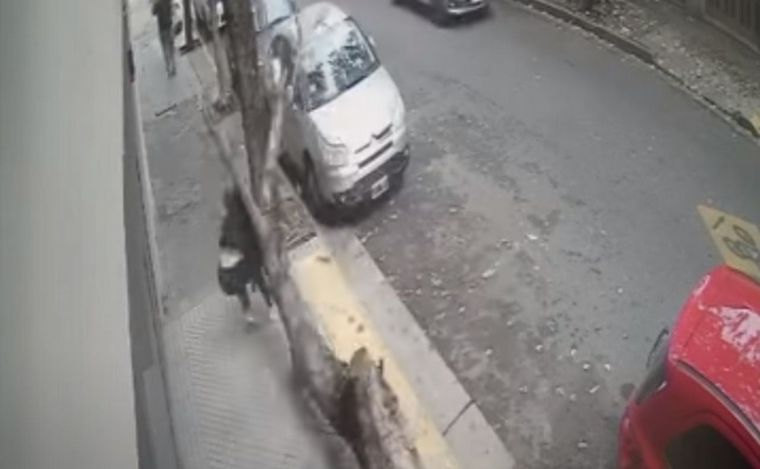 Increíble accidente en el centro de Rosario protagonizado por un árbol seco. 